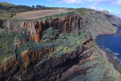 DJI_0004_00043511